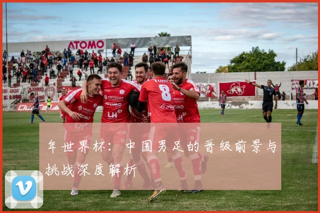 年世界杯：中国男足的晋级前景与挑战深度解析