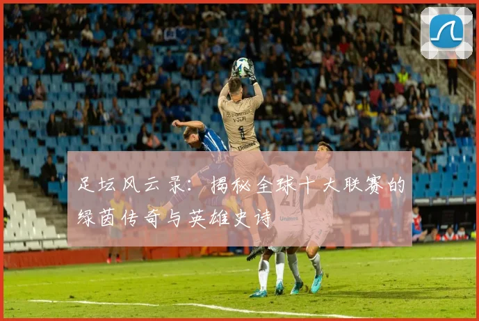 足坛风云录：揭秘全球十大联赛的绿茵传奇与英雄史诗